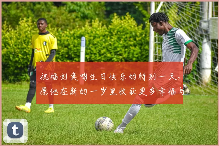 祝福刘奕鸣生日快乐的特别一天，愿他在新的一岁里收获更多幸福与成功